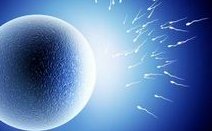 孕妇心情和孕吐反应有关吗？