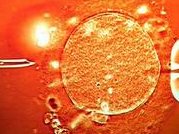 黄石试管婴儿医院排名？附试管助孕费用经验参考？