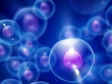 试管短方案是什么？试管促排卵选择短方案怎么样？