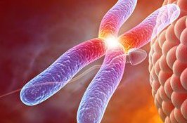 2026福州试管婴儿医院排名，附成功率及费用介绍